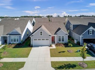 253 River Martin Ct, Summerville, SC 29483