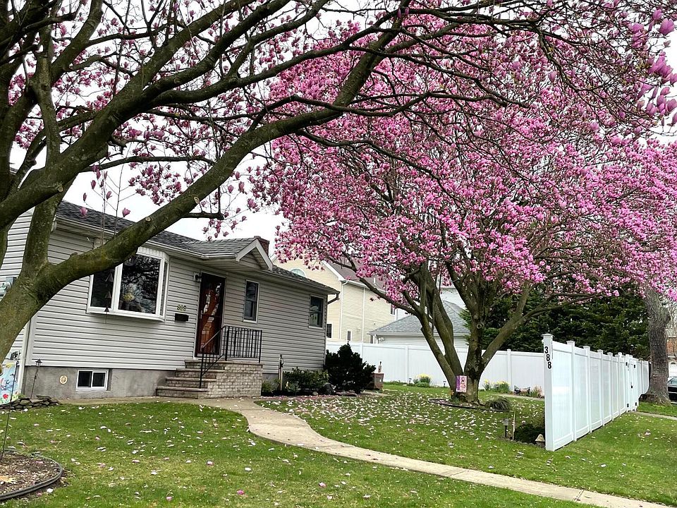 2nd image of 388 Oak Ave