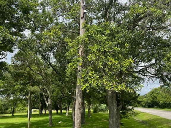 3rd image of 2702 Lake Rd