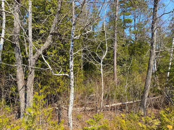 Wilderness Dr, Presque Isle, MI 49777