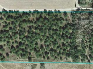 Beatty Mill Creek Rd, Ray City, GA 31645