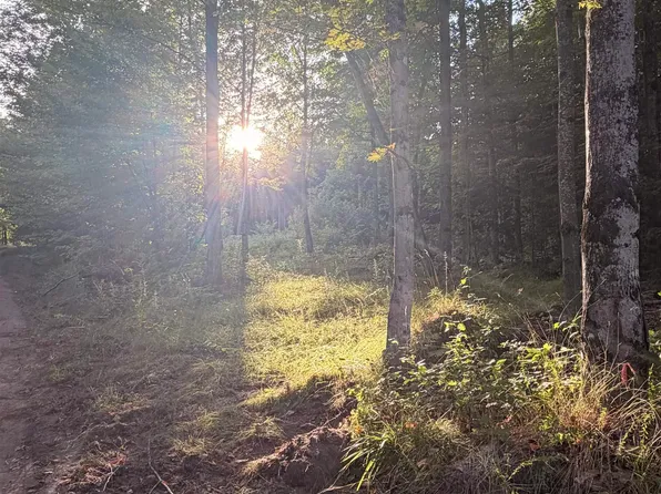 Harborview Dr Lot 21, Munising, MI 49862