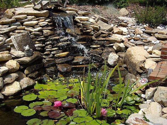 Upper Koi Pond w/Waterfall