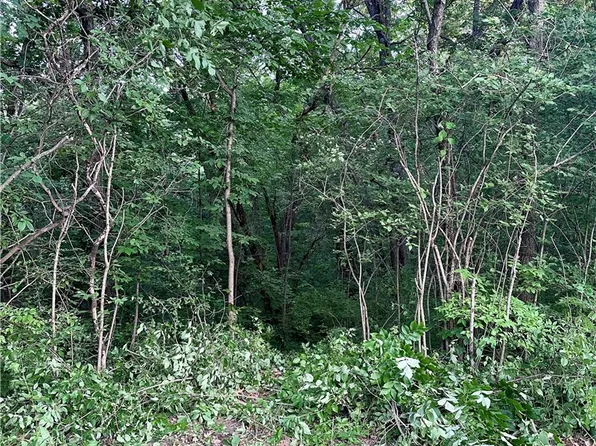 LOT 14 Forest Ln, Van Meter, IA 50261