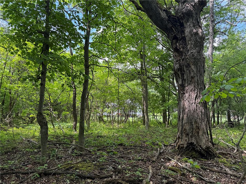 1st image of Reed Rd Lot 16