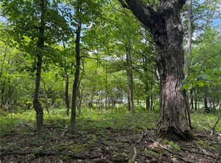 Reed Rd Lot 16, Dansville, NY 14437