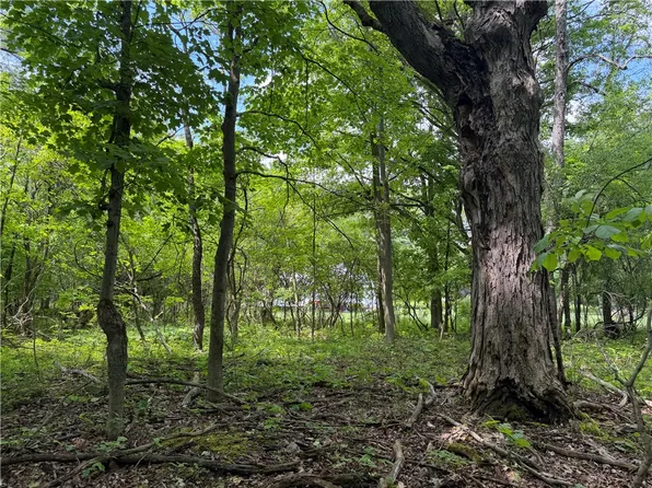 Reed Rd Lot 16, Dansville, NY 14437