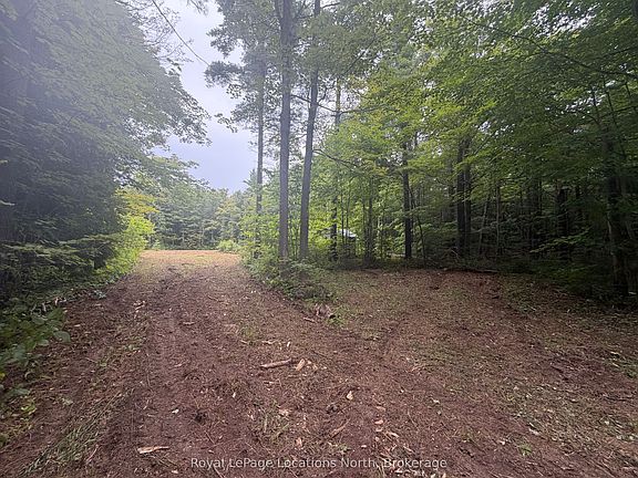 3rd image of Connell Lake Rd Lot 4
