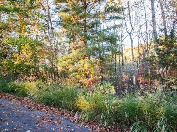 17 Chestnut Falls Dr, Millers Creek, NC 28651