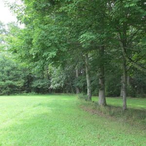 Airport Rd, Marlinton, WV, 24954