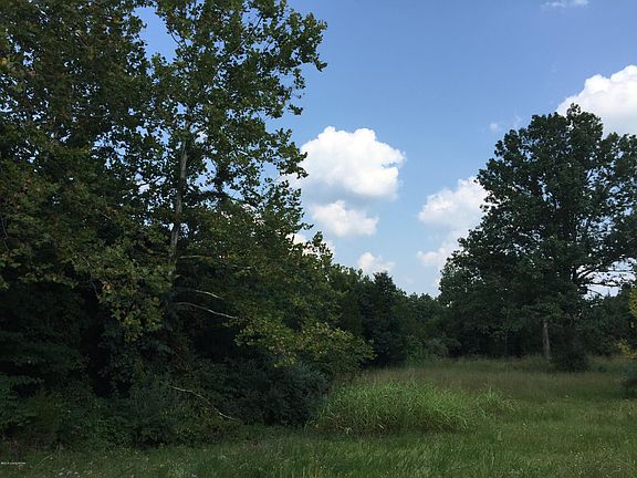 5th image of 1007 Whitewood Bend Dr
