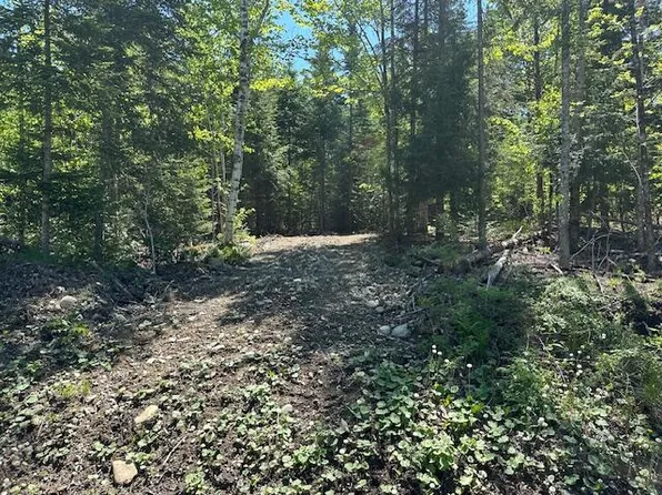 Lot 9 Mt. Jefferson Heights, Lee, ME 04455