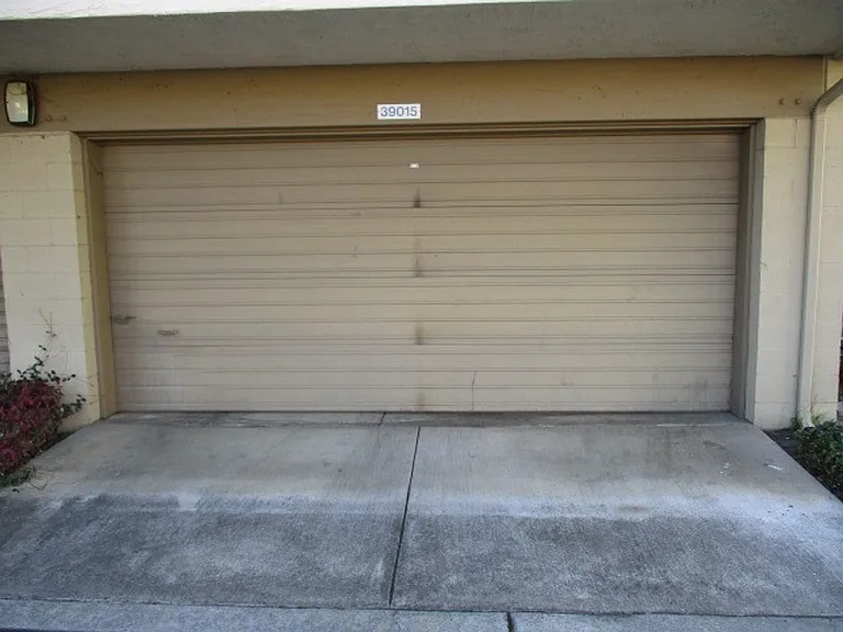 39015 Walnut Ter — Photo 12