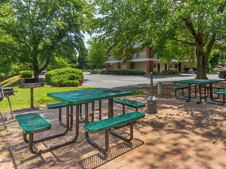 Picnic Area
