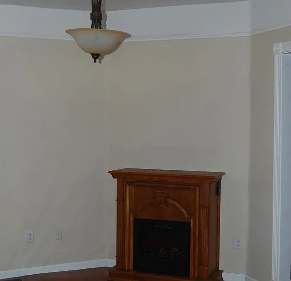 411 Seiler Ave — Photo 5