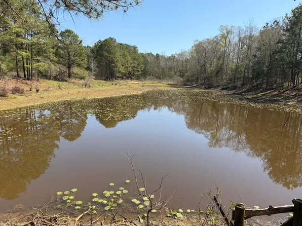 3875 N Mount Zion Rd, Honoraville, AL 36042