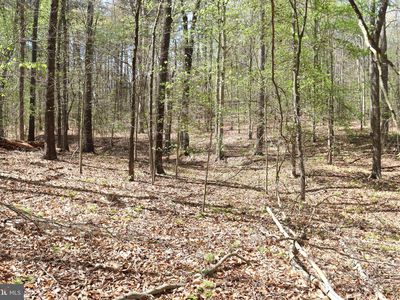 Snake Castle Rd, Sumerduck, VA, 22742