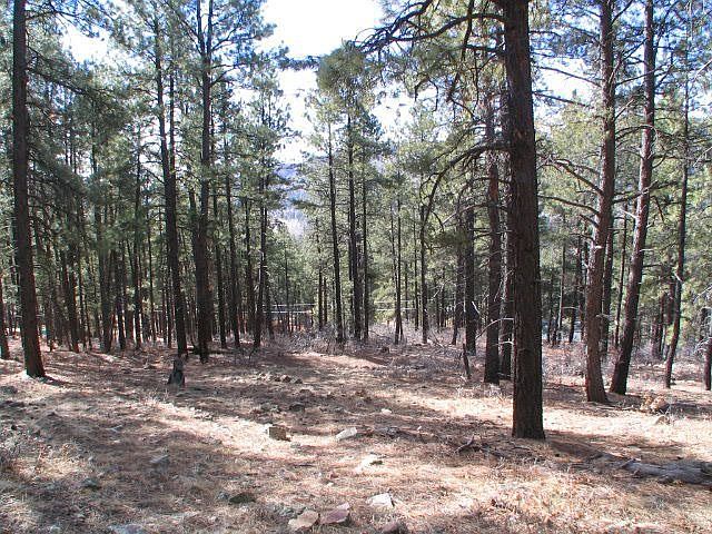 1st image of 120 Fawn Dr