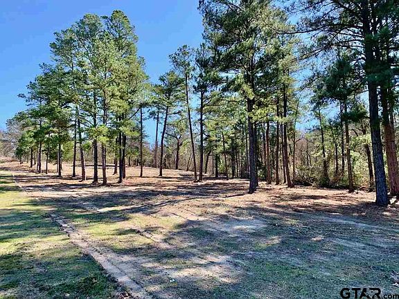 4th image of LOT 35 County Road 3420