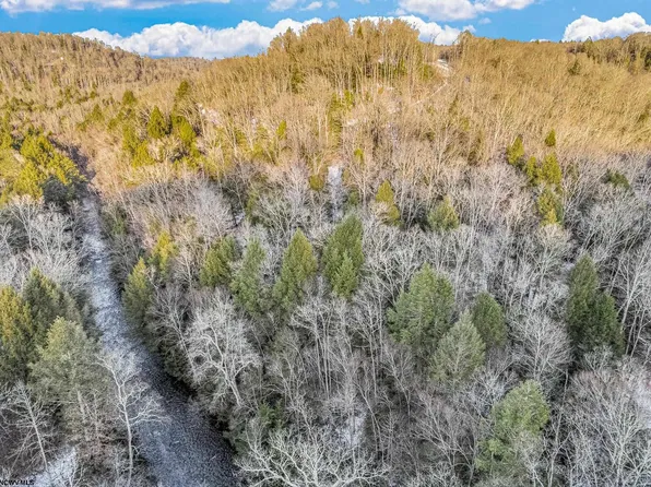 116 S Laurel Ct, Bruceton Mills, WV 26525