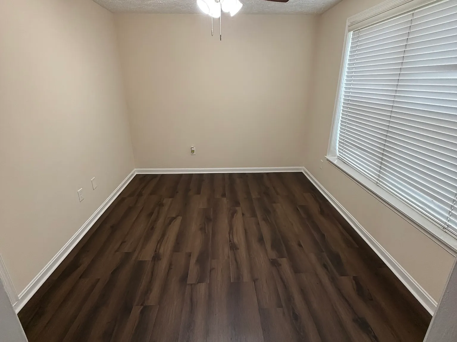 3 bed, 1.5 bath, $2,300 — Photo 3