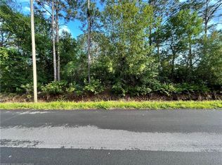 976 Challenger St NW, Lake Placid, FL 33852