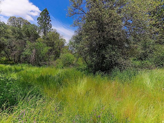 5th image of 4860 Grass Valley Hwy