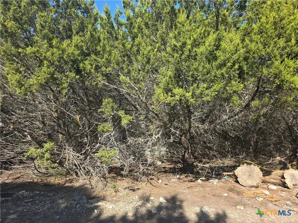 Roanoak Ave, Waco, TX 76705