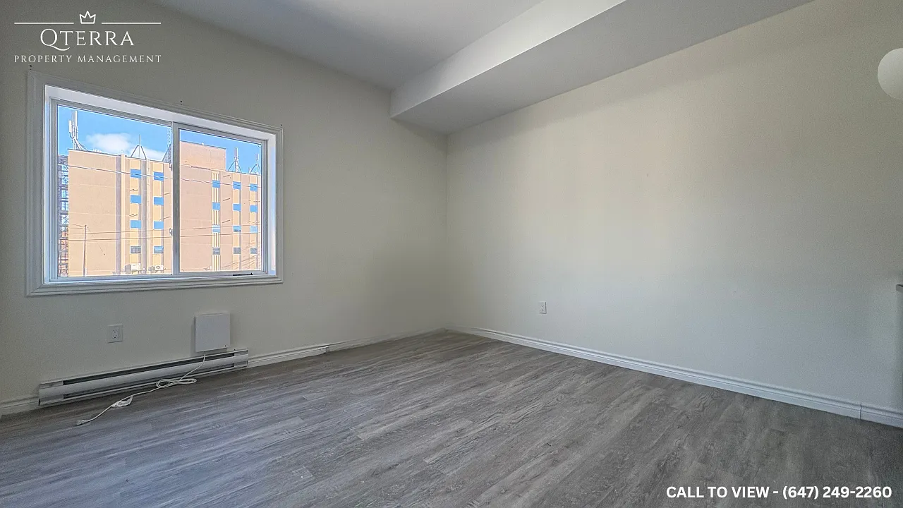 Studio, 550 sqft, $1,299 — Photo 3