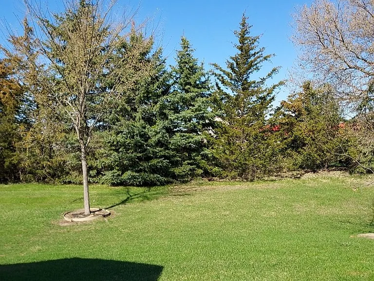 786 Plum Tree Ln — Photo 20