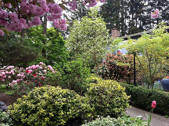 2nd image of 20616 18th Ave W