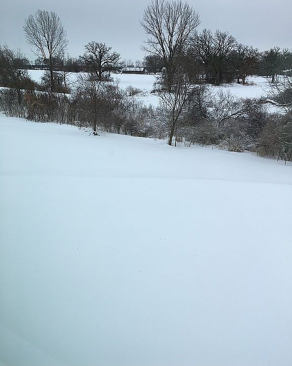 2nd image of 1329 E Longneedle Ln