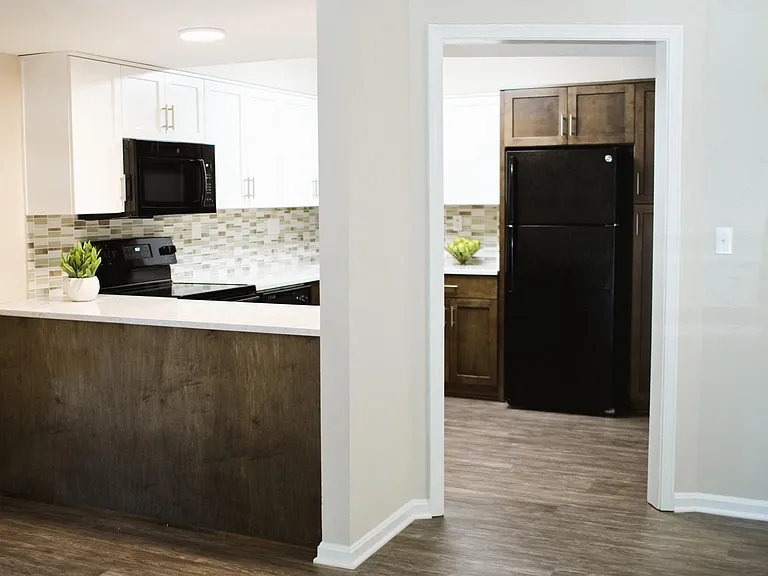 Kitchen with bar top