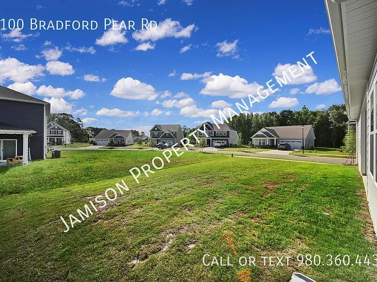 1100 Bradford Pear Rd — Photo 31