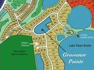 9911 Lanai View Ct, Windermere, FL 34786