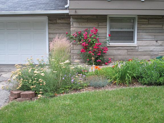 Spring blooms in front garde
