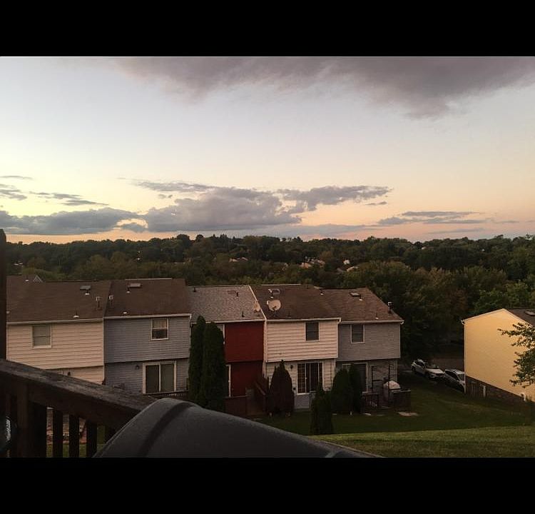 View from deck