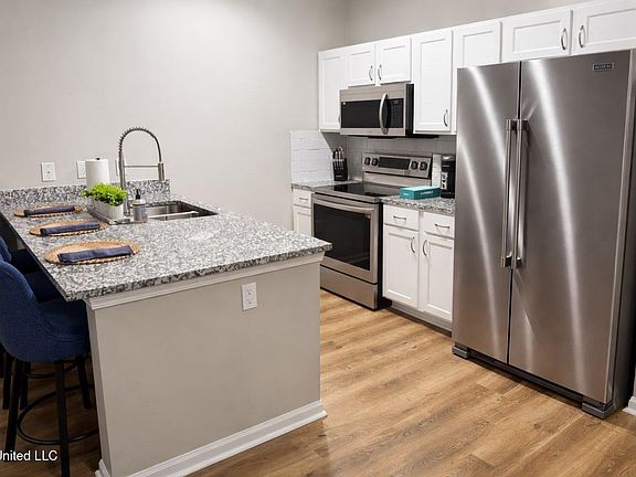 3rd image of 488 Olive Branch Way