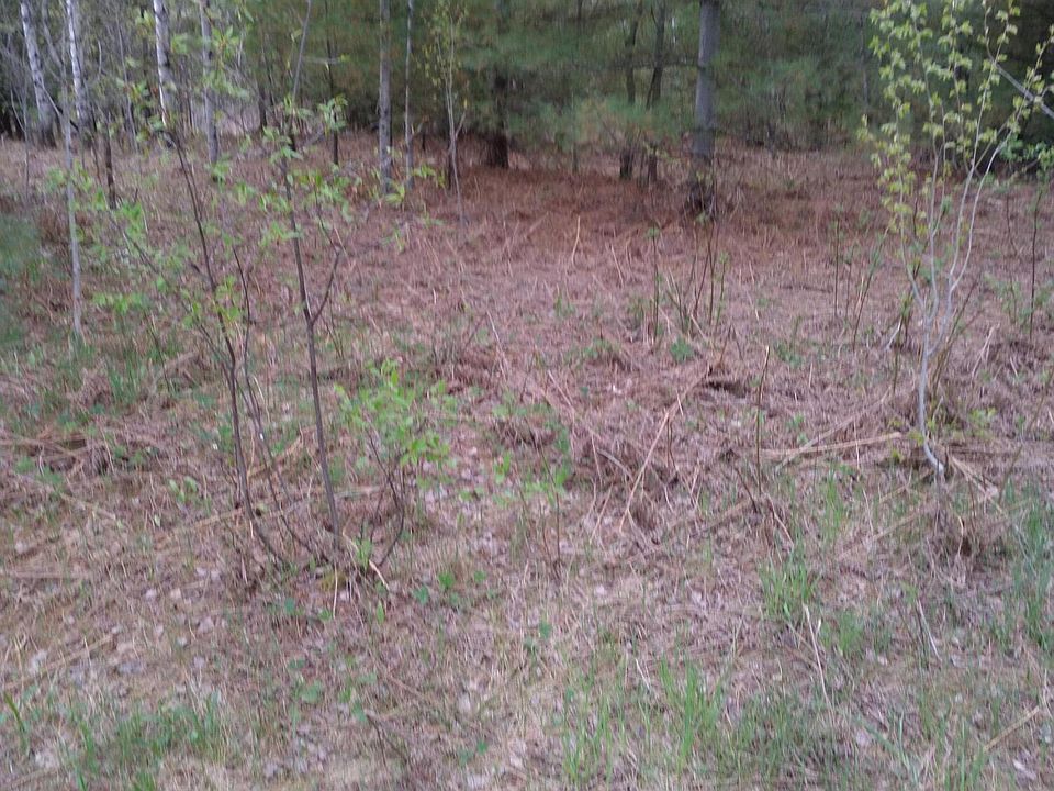 1st image of Winterhaven Dr