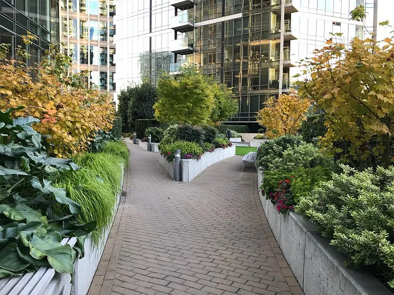 Urban Garden