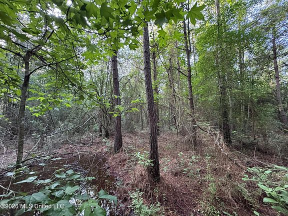 4th image of N Lot 3 River Rd Lot 3
