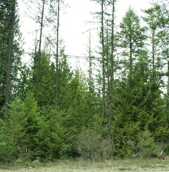 2nd image of 1 Fertile Valley Rd