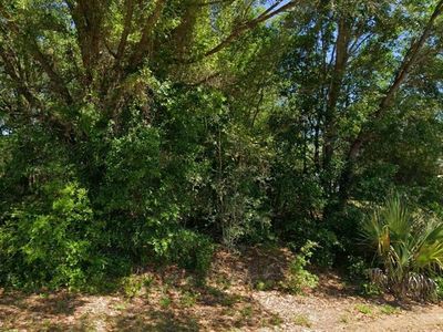 19801 FLAMINGO DRIVE LOT 30, Dunnellon, FL, 34431
