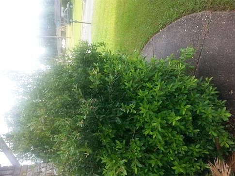 3rd image of 10929 Bridge Creek Dr