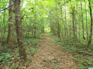 2426 & 2432 Dairy Rd, Cosby, TN 37722