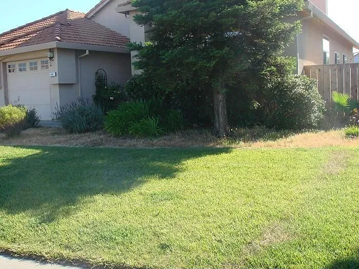 431 Kirby Ct photo 1