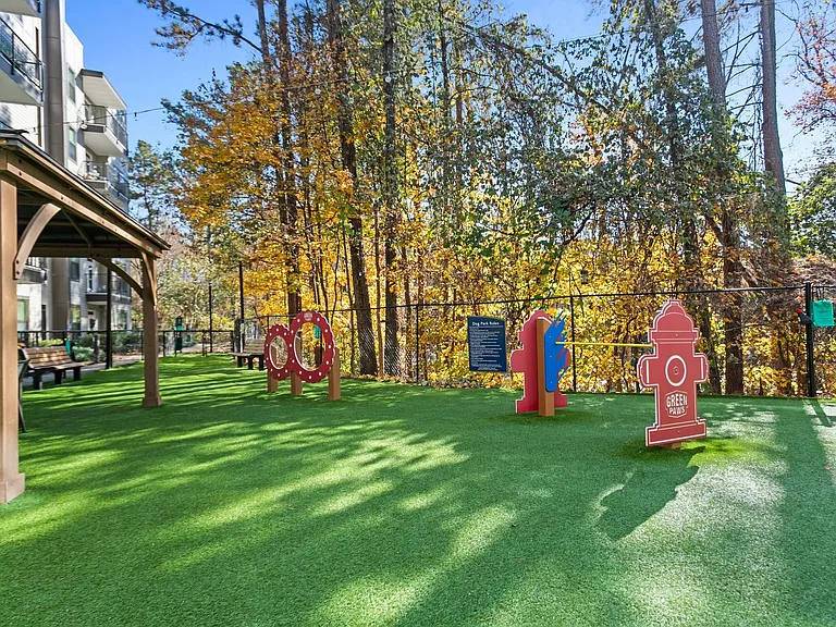Agility course with hoops and hydrant on turf perfect for playtime for pups