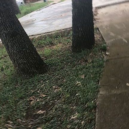4th image of 729 Red Wing Dr