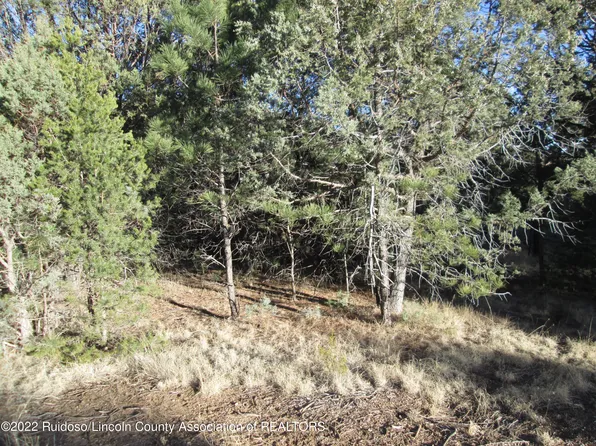 222 Sonterra Dr, Alto, NM 88312