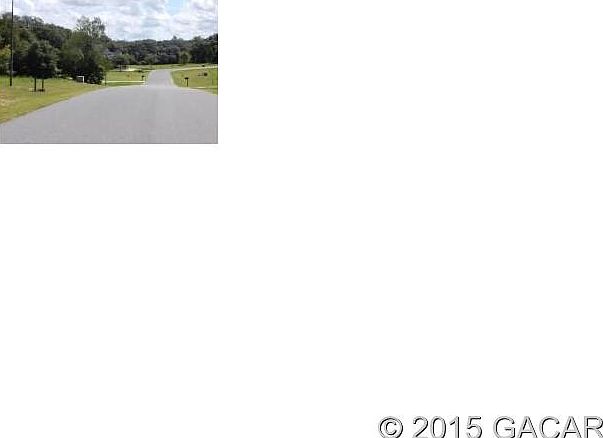 2nd image of 8830 Puppy Grass Cv